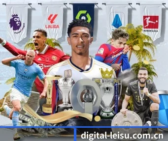 digital-leisu.com.cn APP